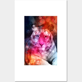 Tiger galaxy Posters and Art